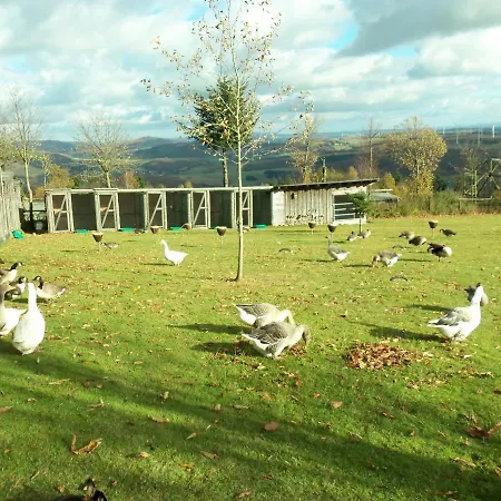 Villa Urlaub Mit Kindern Neben Wildpark