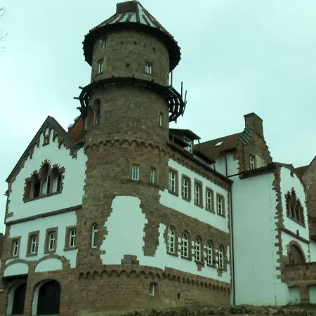 Urlaub Mit Kindern Neben Wildpark Fockelberg